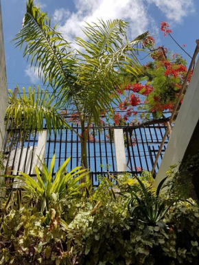 Отель Casa de Arigoffe  Сальвадор